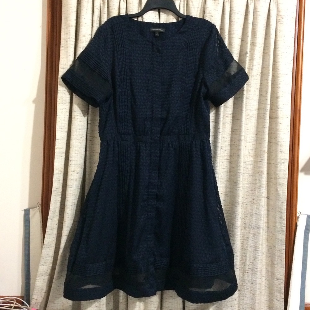 Banana Republic Navy Sheer Swiss Dot Dress